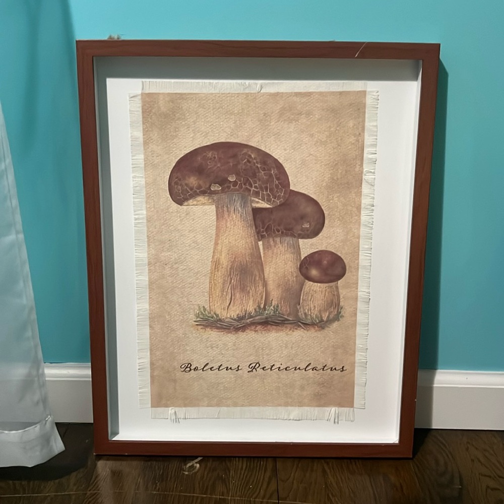 Mushroom Art